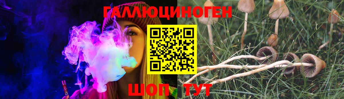 Галлюциногенные грибы Psilocybine cubensis  Вход с VPN  Галлюциногенные грибы GOLDEN TEACHER  Ижевск 